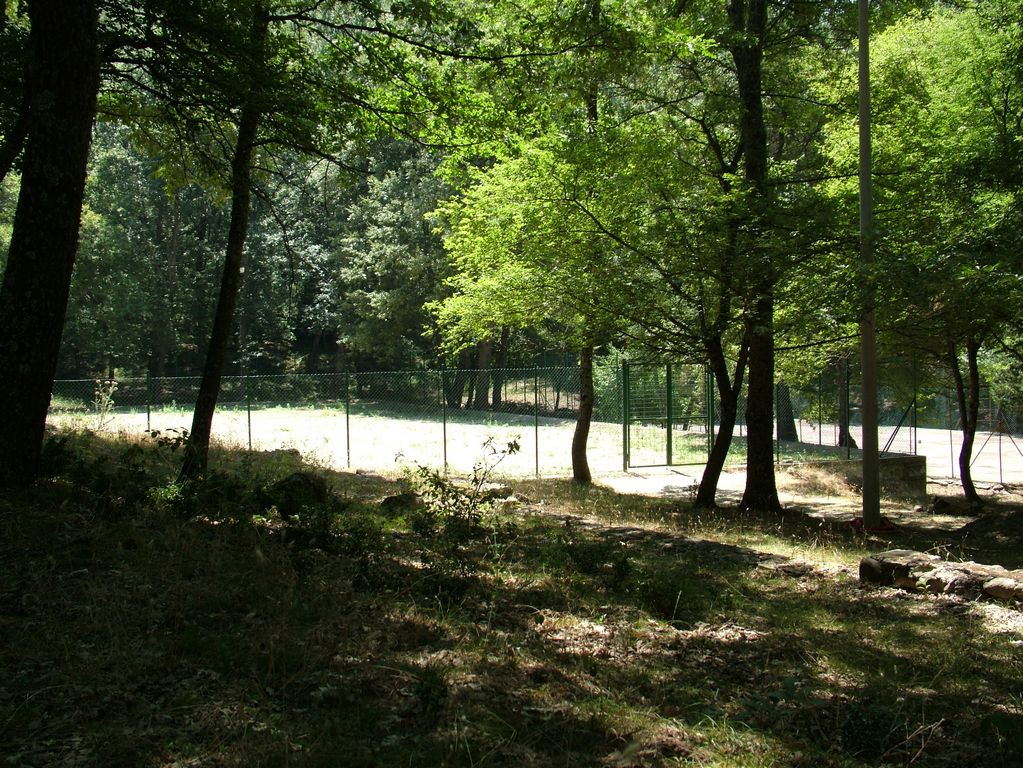 Foresta di Castroregio